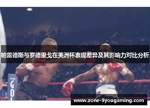 帕雷德斯与罗德里戈在美洲杯表现差异及其影响力对比分析