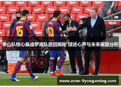 泰山队核心桑德罗离队原因揭秘 球迷心声与未来展望分析