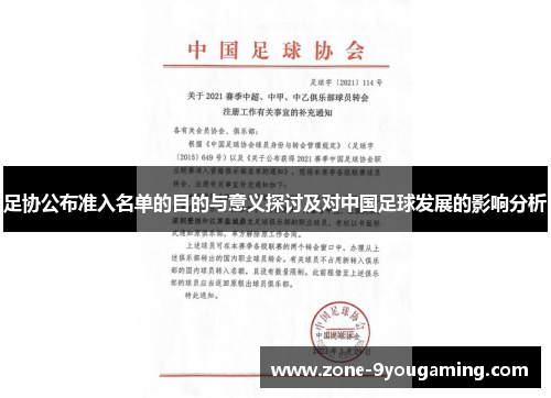 足协公布准入名单的目的与意义探讨及对中国足球发展的影响分析
