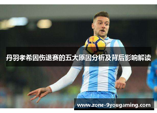 丹羽孝希因伤退赛的五大原因分析及背后影响解读