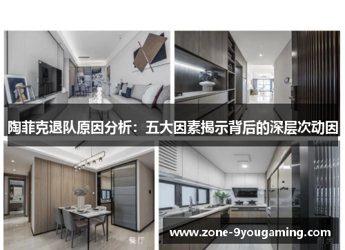 陶菲克退队原因分析：五大因素揭示背后的深层次动因