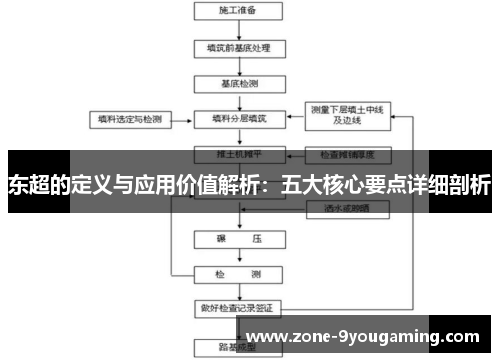 东超的定义与应用价值解析：五大核心要点详细剖析